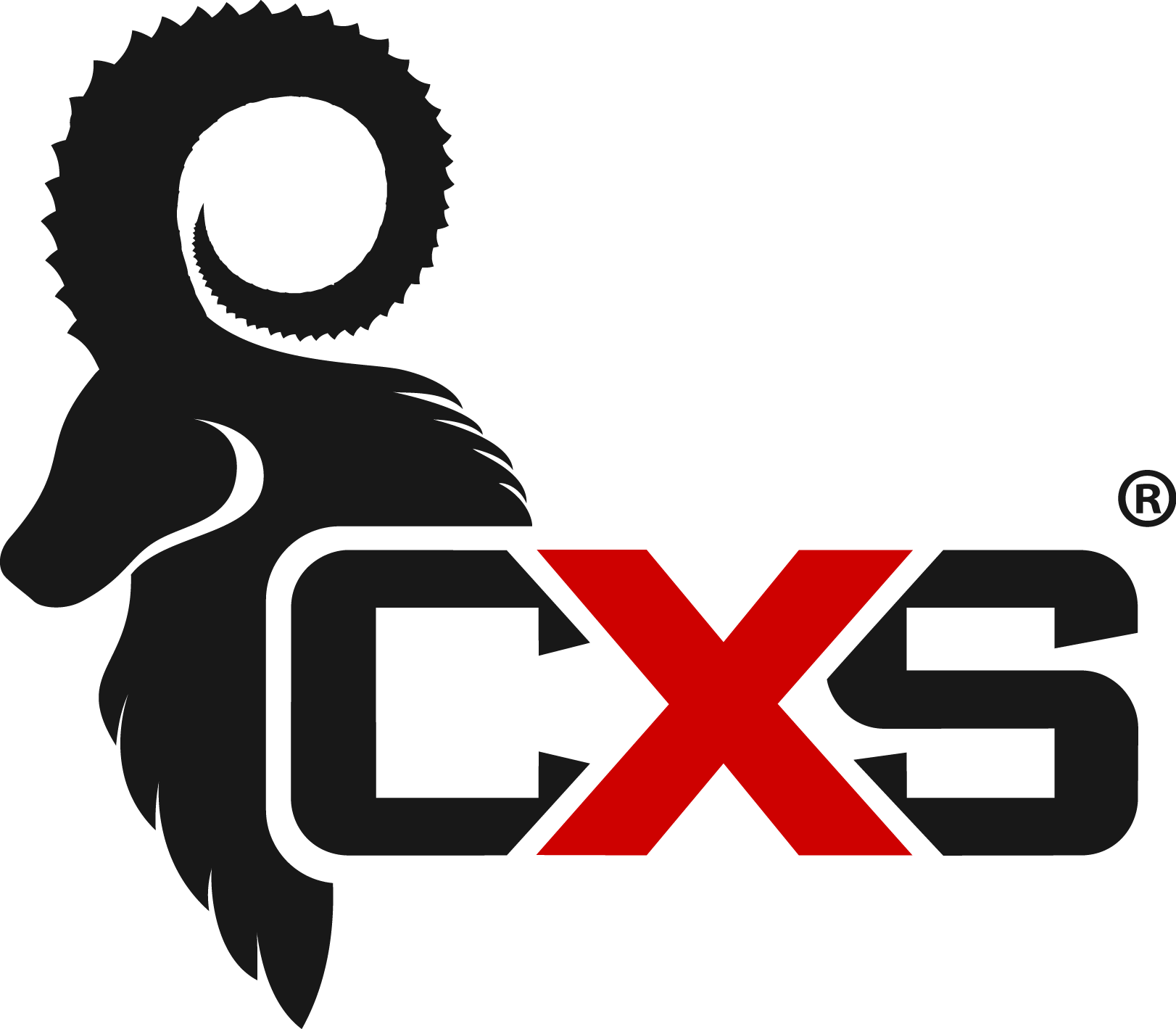 LOGO CXS